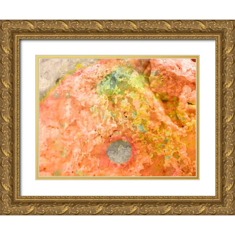 Salt Block I Gold Ornate Wood Framed Art Print with Double Matting by Grayscale