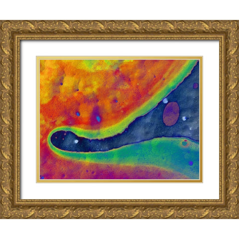 Bio Rainbow I Gold Ornate Wood Framed Art Print with Double Matting by Grayscale