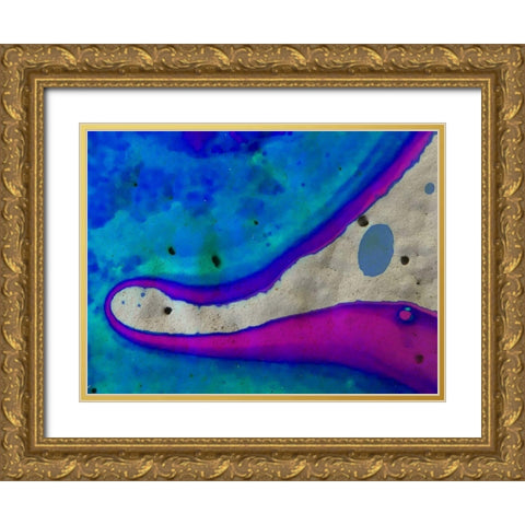 Bio Rainbow Ib Gold Ornate Wood Framed Art Print with Double Matting by Grayscale