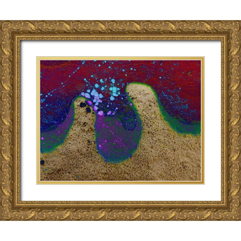 Bio Rainbow III Gold Ornate Wood Framed Art Print with Double Matting by Grayscale