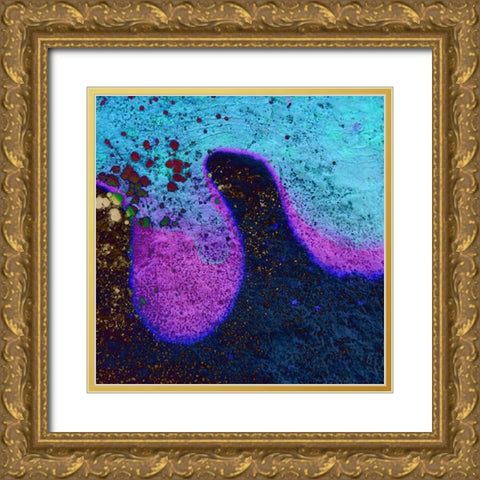 Bio Rainbow IIIb Gold Ornate Wood Framed Art Print with Double Matting by Grayscale