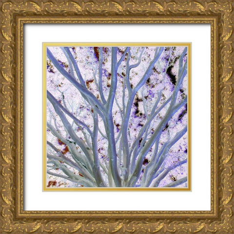 Space Canopy I Gold Ornate Wood Framed Art Print with Double Matting by Grayscale