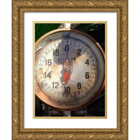 Scale Face Gold Ornate Wood Framed Art Print with Double Matting by Grayscale