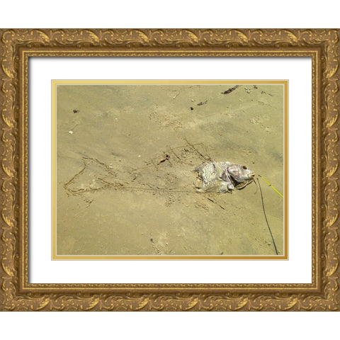 Fish Sketch I Gold Ornate Wood Framed Art Print with Double Matting by Grayscale