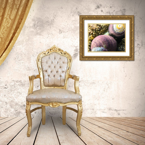 Shell Spiral II Gold Ornate Wood Framed Art Print with Double Matting by Grayscale