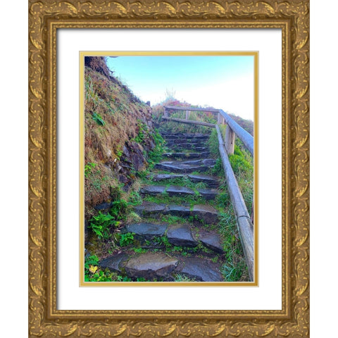 Stone Stairs I Gold Ornate Wood Framed Art Print with Double Matting by Grayscale