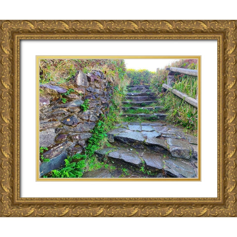 Stone Stairs II Gold Ornate Wood Framed Art Print with Double Matting by Grayscale