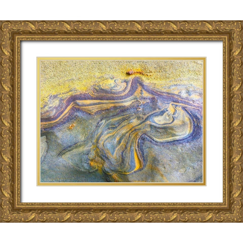 Eroded Sandstone V Gold Ornate Wood Framed Art Print with Double Matting by Grayscale