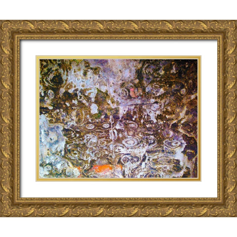 Eroded Stucco I Gold Ornate Wood Framed Art Print with Double Matting by Grayscale