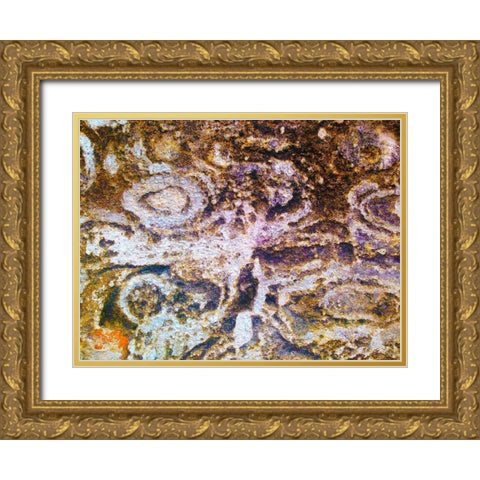 Eroded Stucco II Gold Ornate Wood Framed Art Print with Double Matting by Grayscale