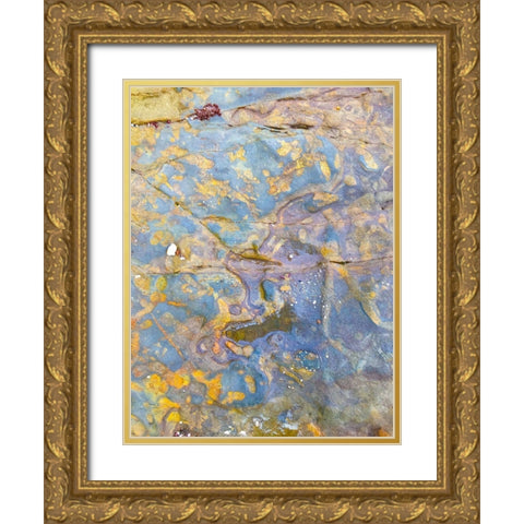 Oxidized Sand I Gold Ornate Wood Framed Art Print with Double Matting by Grayscale