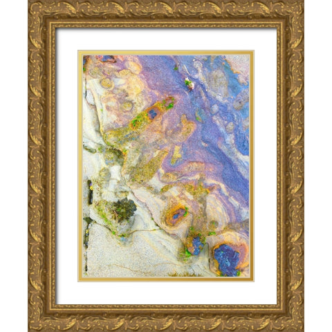 Oxidized Sand II Gold Ornate Wood Framed Art Print with Double Matting by Grayscale