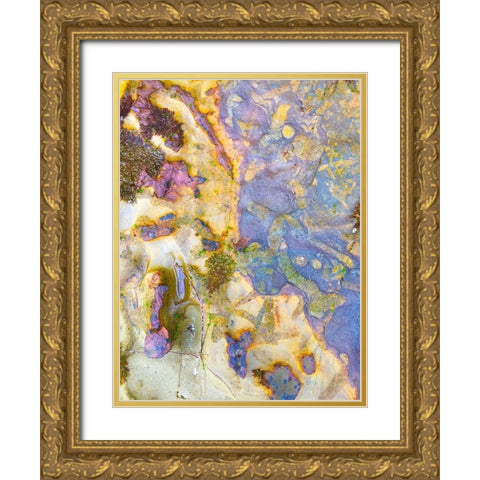 Oxidized Sand III Gold Ornate Wood Framed Art Print with Double Matting by Grayscale