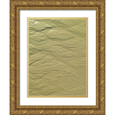 Wet Sand I Gold Ornate Wood Framed Art Print with Double Matting by Grayscale