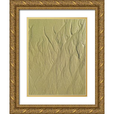 Wet Sand II Gold Ornate Wood Framed Art Print with Double Matting by Grayscale