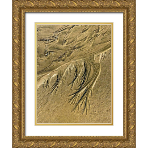 Wet Sand III Gold Ornate Wood Framed Art Print with Double Matting by Grayscale