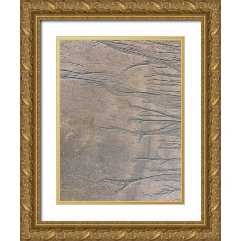 Wet Sand V Gold Ornate Wood Framed Art Print with Double Matting by Grayscale