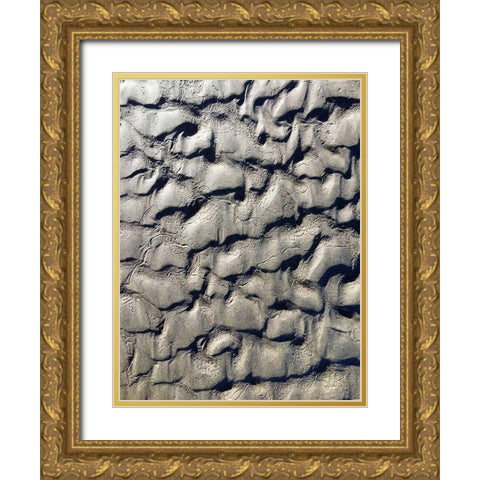 Sand Prints V Gold Ornate Wood Framed Art Print with Double Matting by Grayscale
