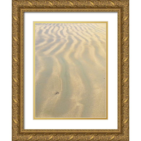Sand Prints VI Gold Ornate Wood Framed Art Print with Double Matting by Grayscale