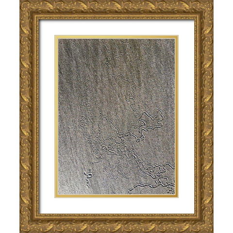 Sand Prints VII Gold Ornate Wood Framed Art Print with Double Matting by Grayscale