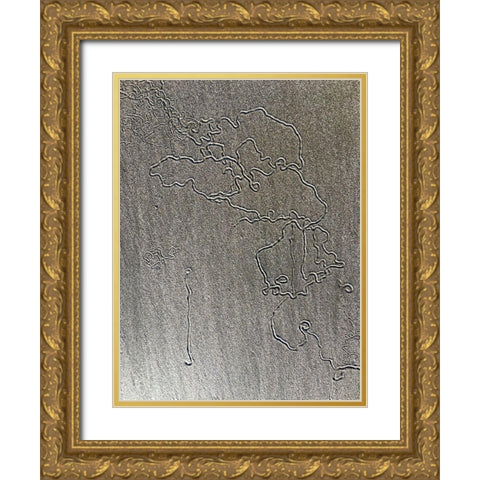 Sand Prints VIII Gold Ornate Wood Framed Art Print with Double Matting by Grayscale