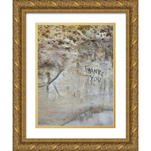 Sand Wall IV Gold Ornate Wood Framed Art Print with Double Matting by Grayscale