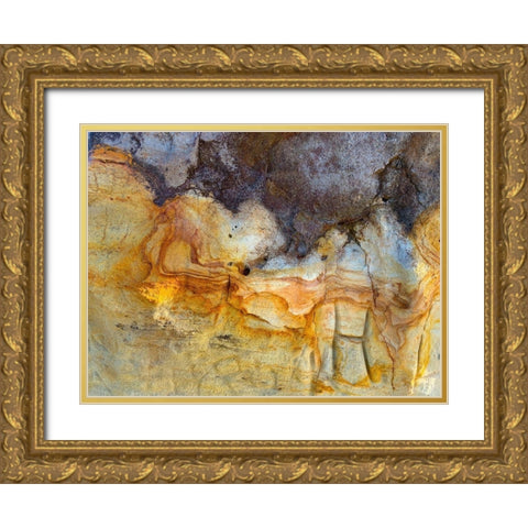 Sand Wall VI Gold Ornate Wood Framed Art Print with Double Matting by Grayscale