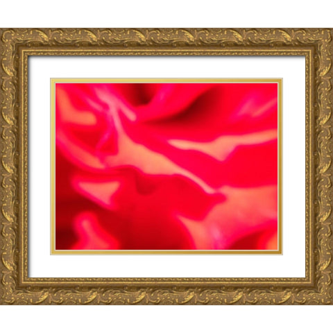 Rose Petal I Gold Ornate Wood Framed Art Print with Double Matting by Grayscale