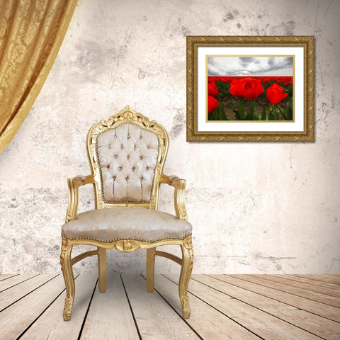 Red Tulip Field Gold Ornate Wood Framed Art Print with Double Matting by Grayscale