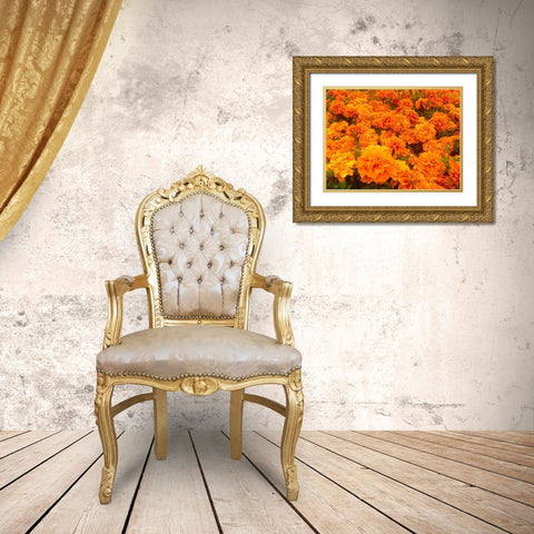 Chrysanthemums I Gold Ornate Wood Framed Art Print with Double Matting by Grayscale