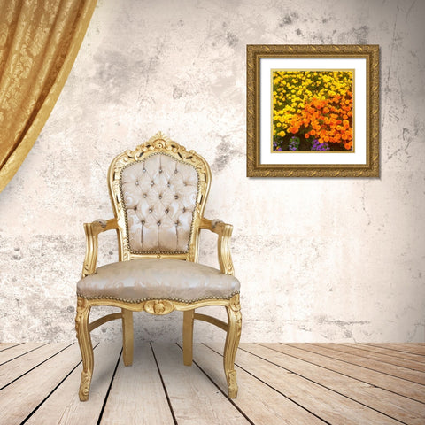 Chrysanthemums II Gold Ornate Wood Framed Art Print with Double Matting by Grayscale