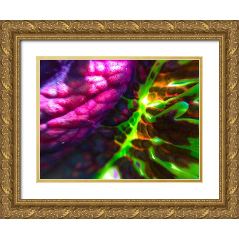 Complex Leaves I Gold Ornate Wood Framed Art Print with Double Matting by Grayscale