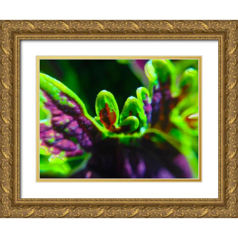 Complex Leaves II Gold Ornate Wood Framed Art Print with Double Matting by Grayscale