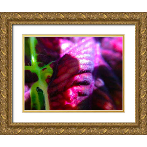 Complex Leaves III Gold Ornate Wood Framed Art Print with Double Matting by Grayscale