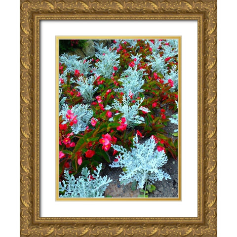White and Red I Gold Ornate Wood Framed Art Print with Double Matting by Grayscale