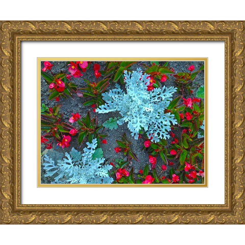 White and Red II Gold Ornate Wood Framed Art Print with Double Matting by Grayscale