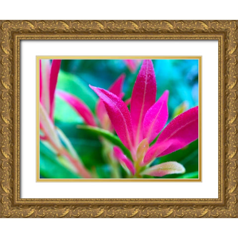 Pink Leaves I Gold Ornate Wood Framed Art Print with Double Matting by Grayscale
