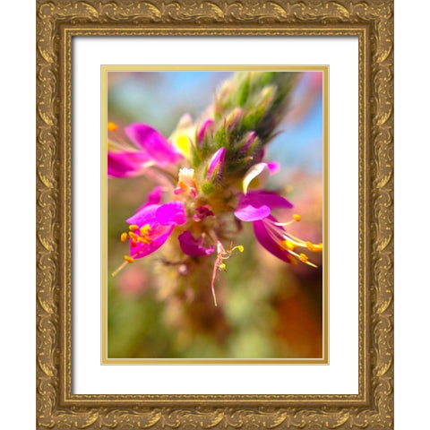 Exploding Buds I Gold Ornate Wood Framed Art Print with Double Matting by Grayscale