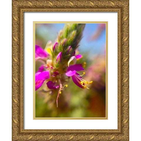 Exploding Buds II Gold Ornate Wood Framed Art Print with Double Matting by Grayscale