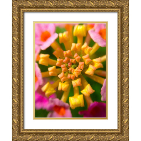 Kaleidoscope I Gold Ornate Wood Framed Art Print with Double Matting by Grayscale