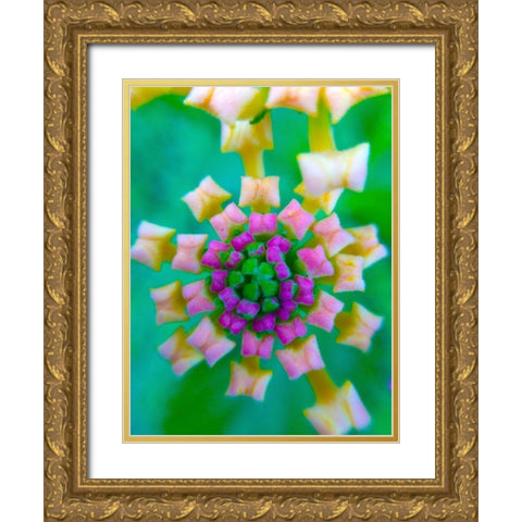 Kaleidoscope II Gold Ornate Wood Framed Art Print with Double Matting by Grayscale