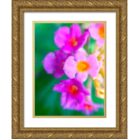 Kaleidoscope III Gold Ornate Wood Framed Art Print with Double Matting by Grayscale