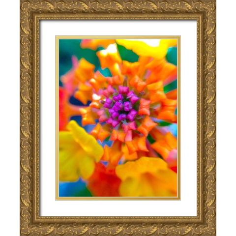 Kaleidoscope V Gold Ornate Wood Framed Art Print with Double Matting by Grayscale