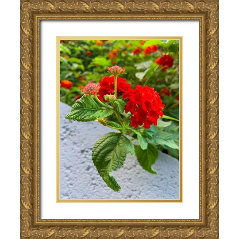 Lantana IV Gold Ornate Wood Framed Art Print with Double Matting by Grayscale