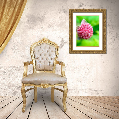 Pink Cluster I Gold Ornate Wood Framed Art Print with Double Matting by Grayscale