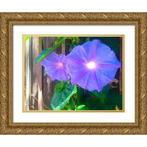 Morning Glory I Gold Ornate Wood Framed Art Print with Double Matting by Grayscale