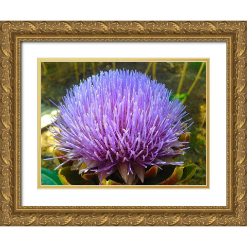 Purple Fingers I Gold Ornate Wood Framed Art Print with Double Matting by Grayscale