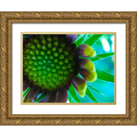 Flower Cluster II Gold Ornate Wood Framed Art Print with Double Matting by Grayscale
