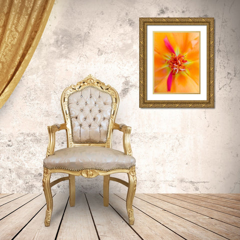 Orange Wildflower III Gold Ornate Wood Framed Art Print with Double Matting by Grayscale