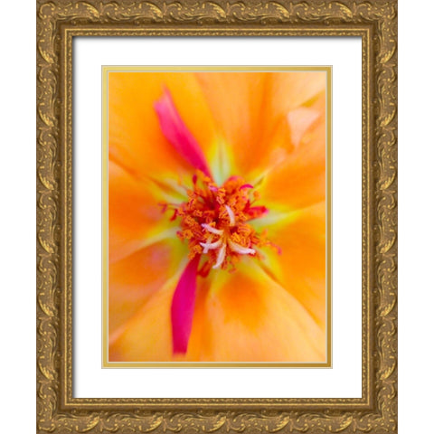 Orange Wildflower III Gold Ornate Wood Framed Art Print with Double Matting by Grayscale
